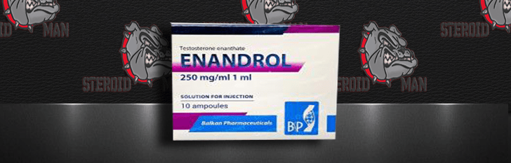 тестостерона энантат заказать