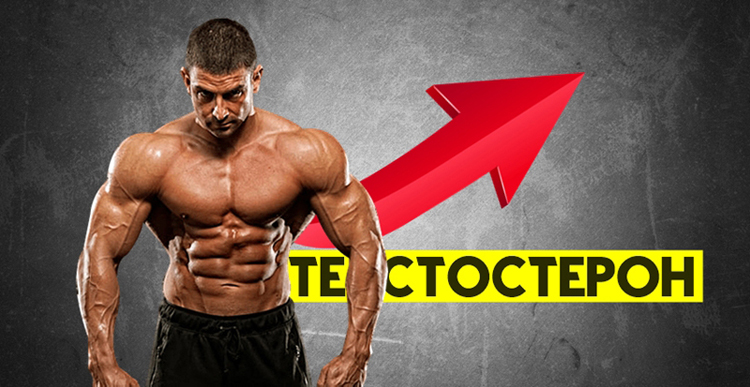 Сравнение тестостерона Ундеканоат с другими долгодействующими тестостеронами